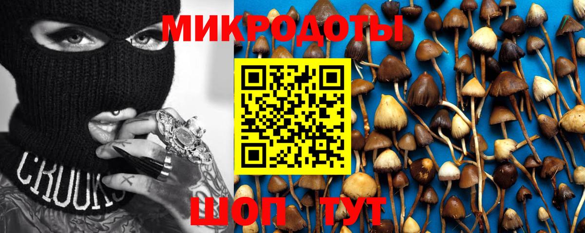 Полысаево  Псилоцибиновые грибы GOLDEN TEACHER  Вход с VPN 
